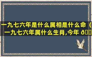 一九七六年是什么属相是什么命（一九七六年属什么生肖,今年 🐕 多大岁数）